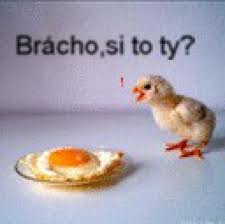 images9999888777744
