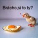 images9999888777744